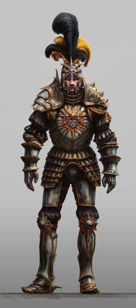 Solknight 2.jpg