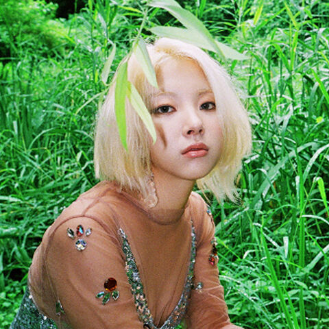 File:Zuny6.jpg