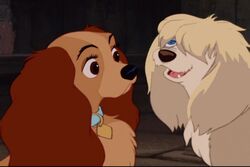 Ladyandthetramp784