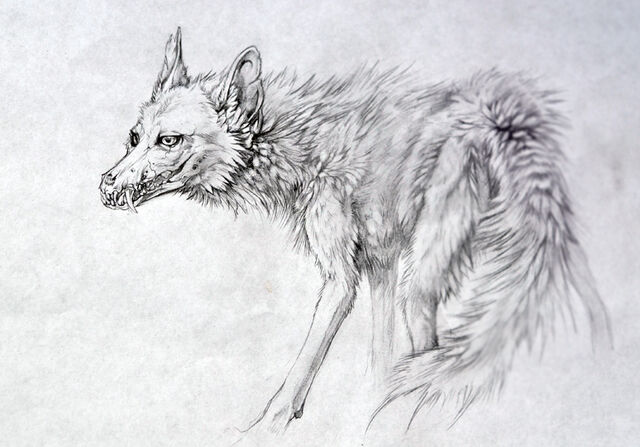 File:Coyote beast.jpg