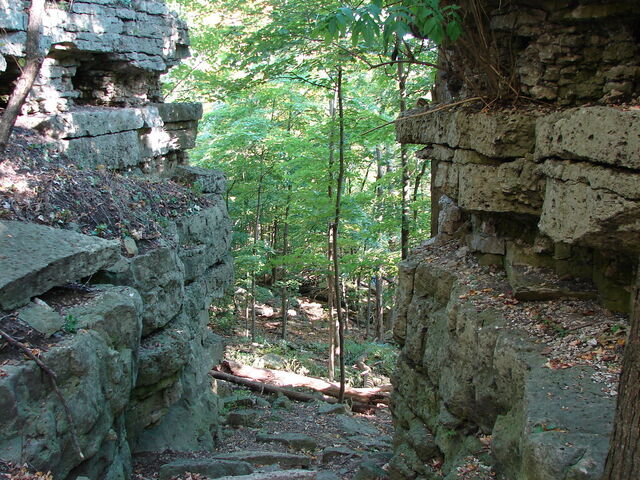 File:Rocky forest background 21 by fantasystock.jpg