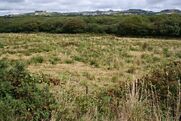 Scrubland