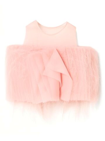 File:Dorhout Mees - SS15C.jpg
