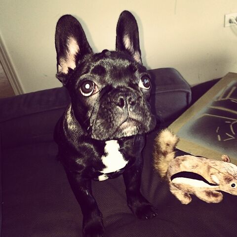 File:6-24-14 Instagram 002.jpg