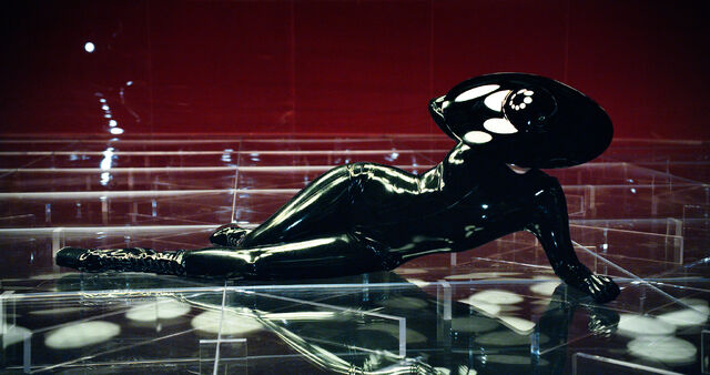 File:2-11-12 Steven Klein 004.jpg