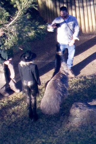 File:6-18-12 Taronga Zoo 002.jpg