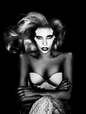 File:12-14-10 Nick Knight 013.jpg
