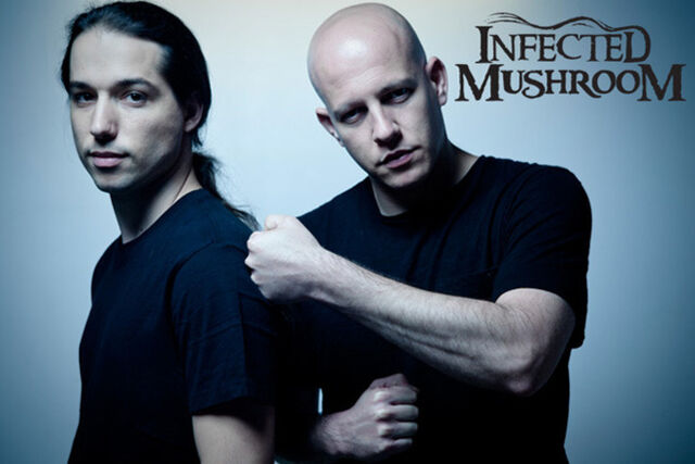 File:Infected Mushroom.jpg