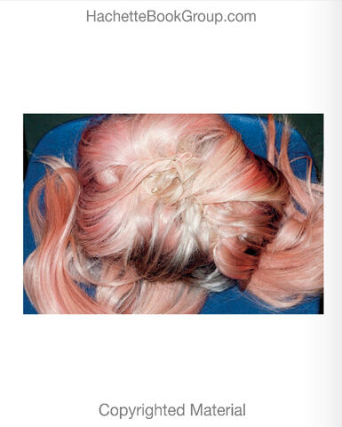 File:Lady-Gaga-Terry-Richardson-Book-16.jpg