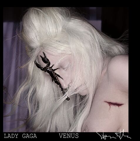 File:VENUS - Cover 001.jpg
