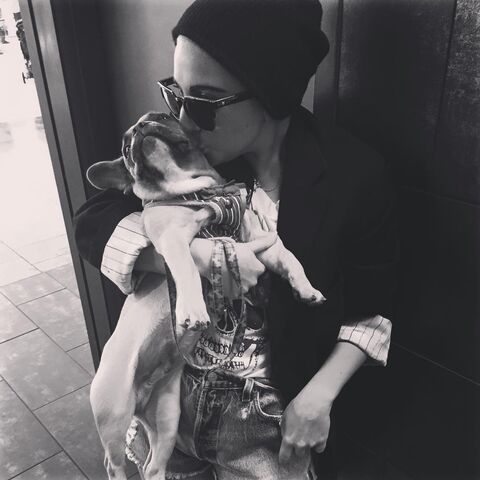 File:7-19-15 Instagram 003.jpg