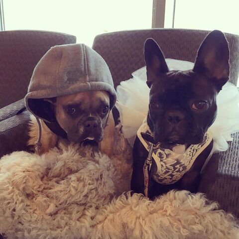 File:12-26-15 Instagram 003.jpg