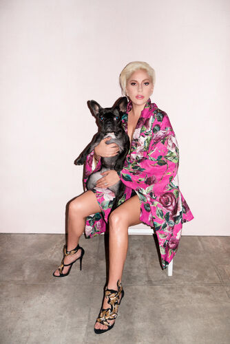 File:0-0-15 Terry Richardson 001.jpg