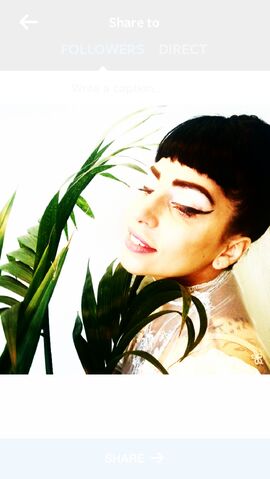 File:8-11-14 LittleMonsters.com 002.jpg