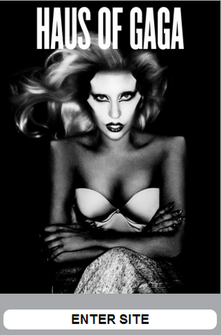 File:M.LadyGaga.com - Enter.png