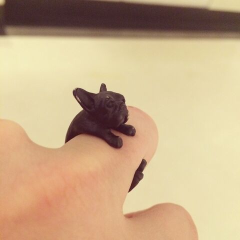 File:8-18-14 Instagram 004.jpg