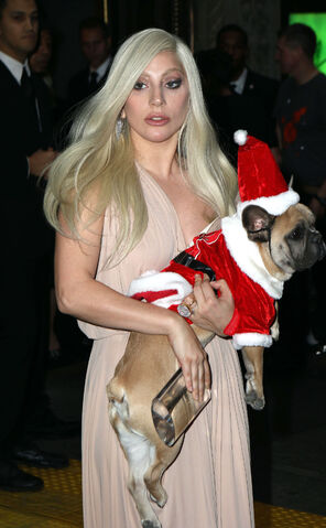 File:12-11-15 Leaving Billboard WIM in NYC 003.jpg