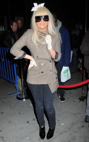 File:Brown-Grey-Jacket2008.jpg