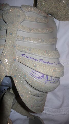 File:Charity Buzz Skeletal bodice signed.jpg