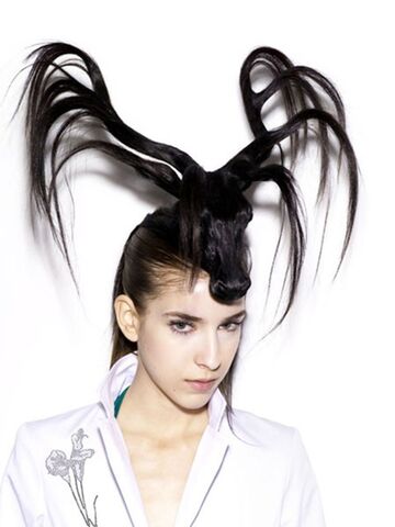 File:Shinji Konishi Deer Hair.jpg