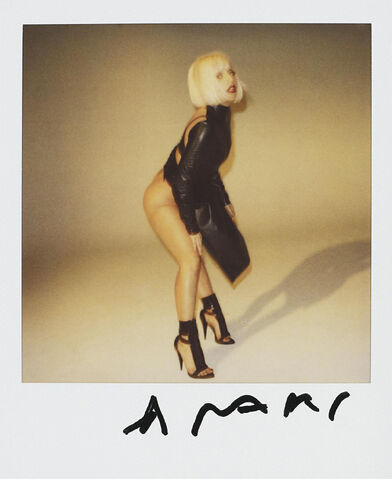 File:Nobuyoshi Araki Polaroid 8.jpg