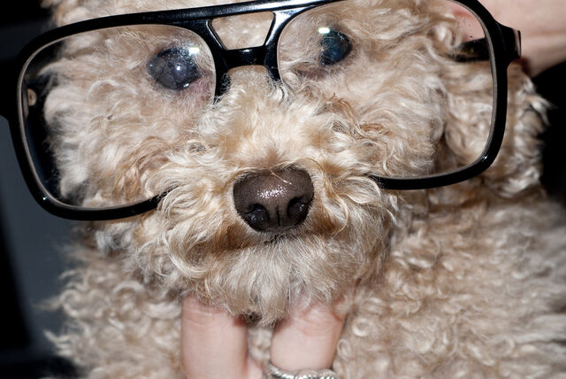 File:8-30-12 Terry Richardson 027.jpg