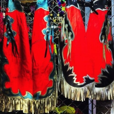 File:Dog - Chaps.jpg