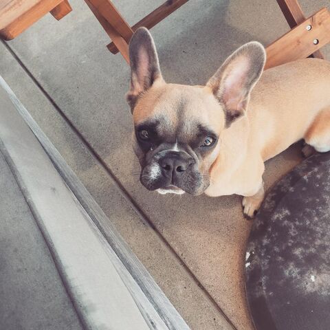 File:9-7-15 Instagram 002.jpg