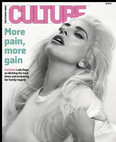 File:Culture 001 Cover 2016.jpg