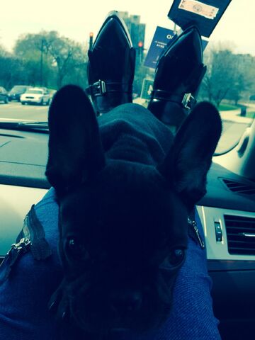 File:4-27-14 LittleMonsters.com 001.jpg
