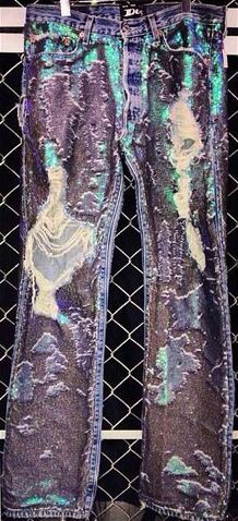 File:Dog - Glitter jeans.jpg