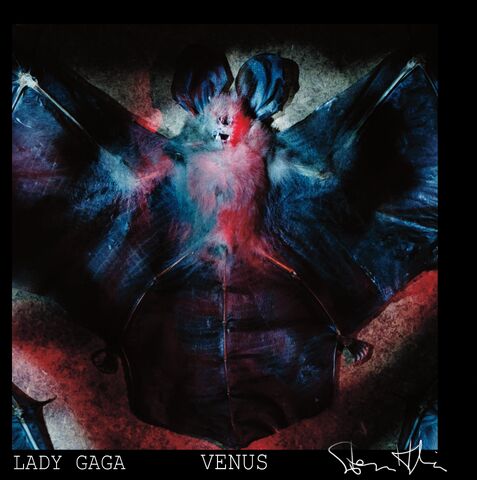 File:VENUS - Cover 003.jpeg