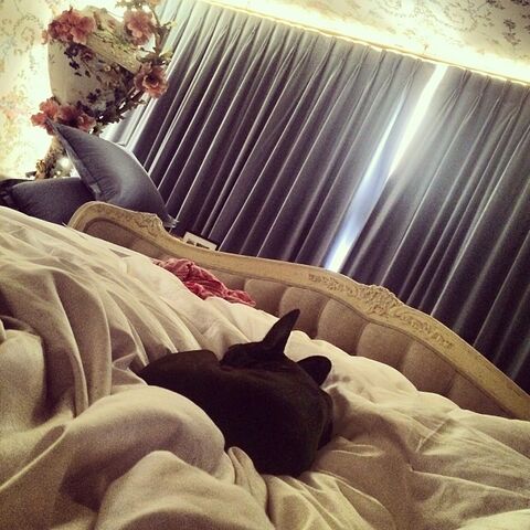 File:6-20-14 Instagram 001.jpg