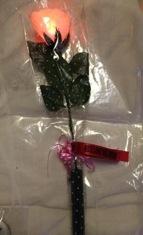 File:ROSELAND FlashingRose.jpg