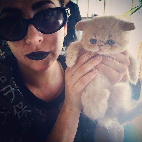 File:8-16-14 Instagram 002.jpg