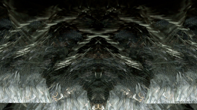 File:SHOWstudio-Raven-05.png