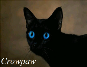 Crowpaw
