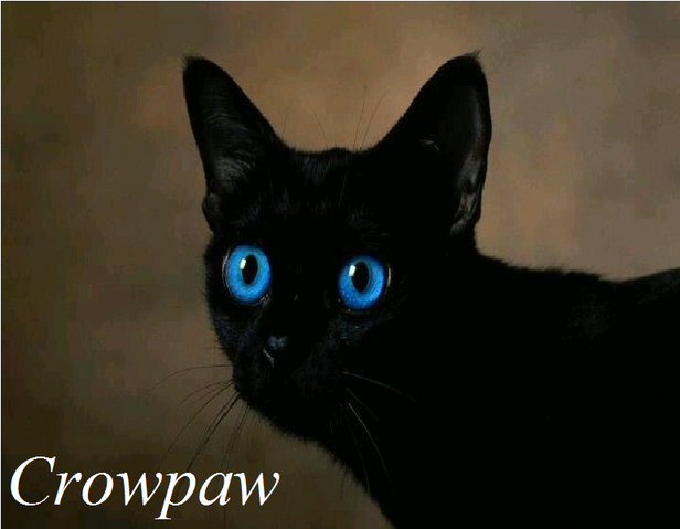 File:Crowpaw.png