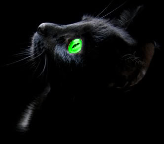 File:Nightstar.jpg