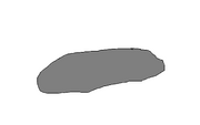 Rock