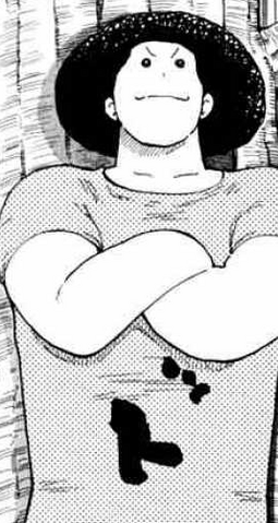 Fitxer:Bomber.png