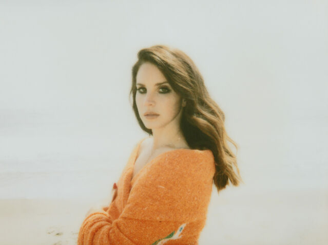 File:5---Lana-Del-Rey---Complex---Neil-Krug 670.jpg