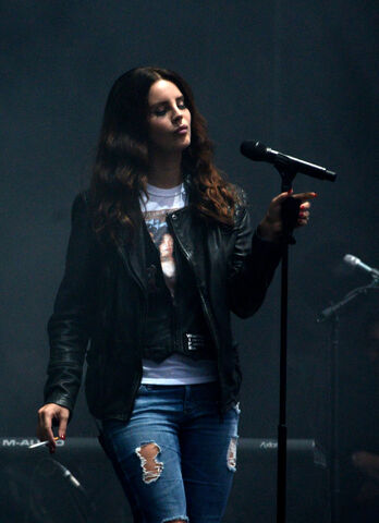 File:Austin City Limits Music Festival - Texas2C USA 28October 1129 28129.jpg