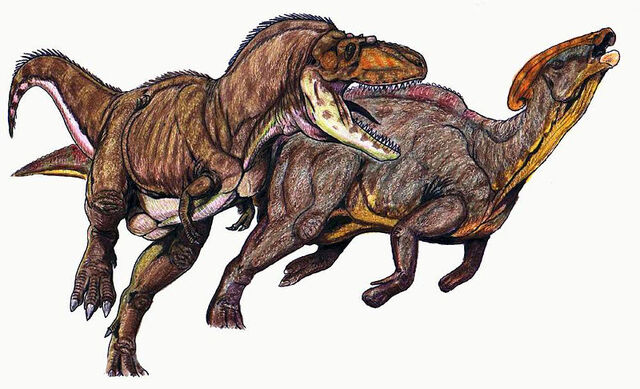 File:P.cyrtocristatus2.jpg