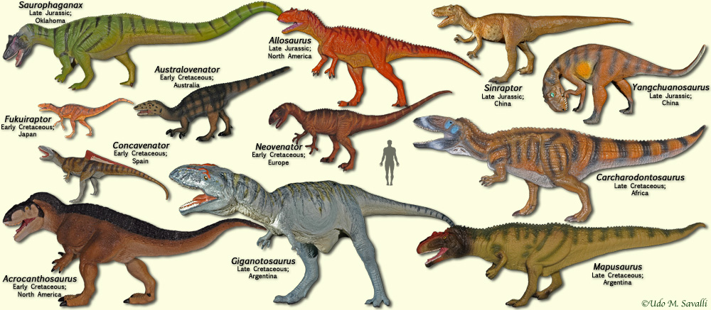 types of carnivorous dinosaurs