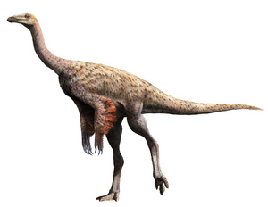 Ornithomimus