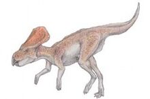 Microceratus