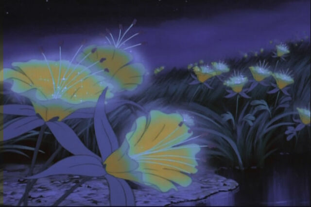 File:Night Flowers.jpg