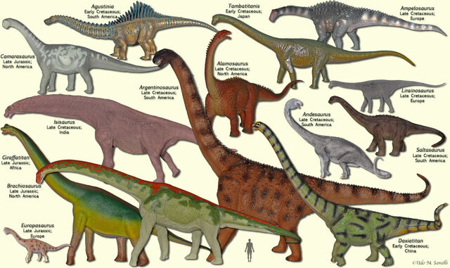 File:SauropodModels3.jpg