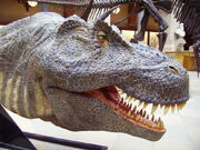 Realistic T.rex model